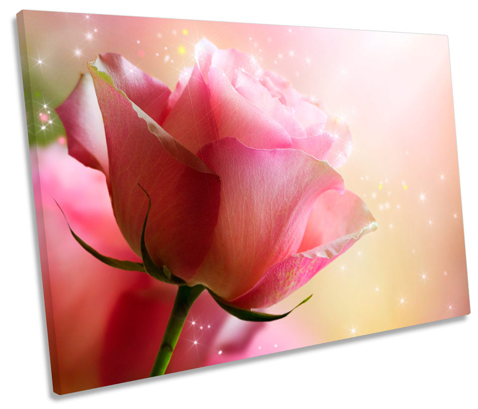 Magical Rose Love Floral Flower