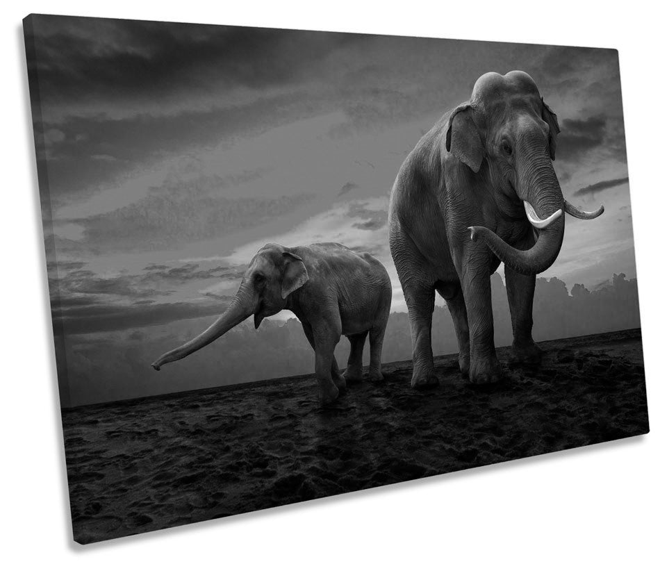 Elephants Sunset Africa Safari B&W