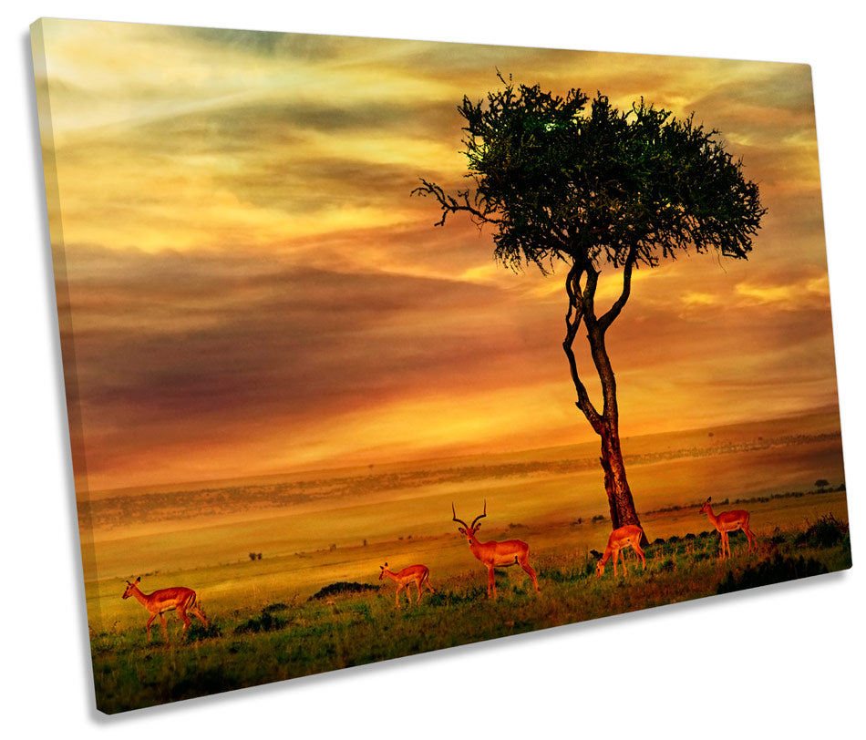 African Sunset Landscape