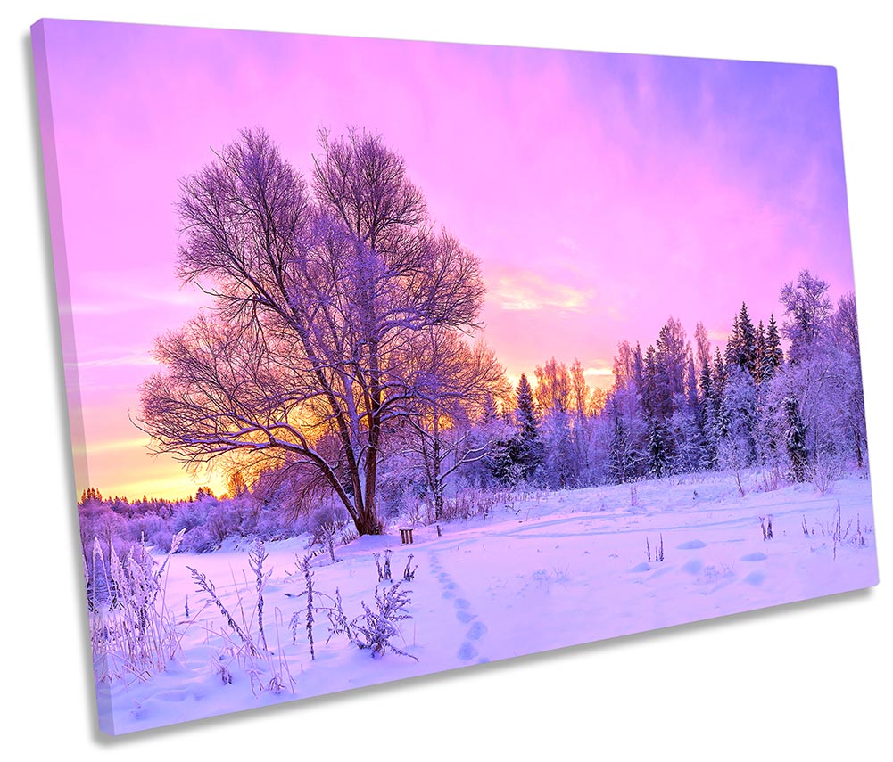 Purple Sunset Winter Landscape