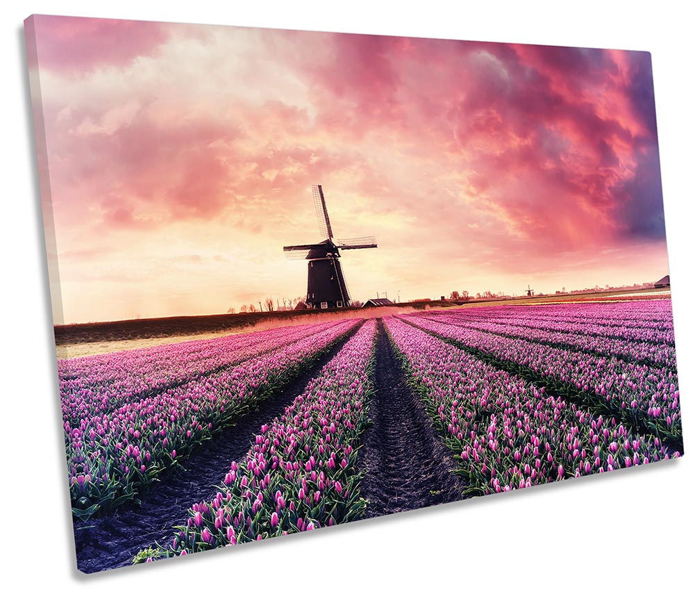 Windmill Pink Sunset Landscape