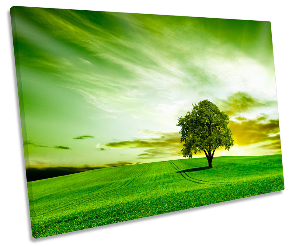 Green Landscape Tree Countryside