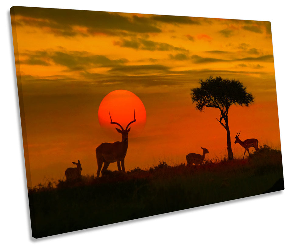 Africa Sunset Wildlife Safari