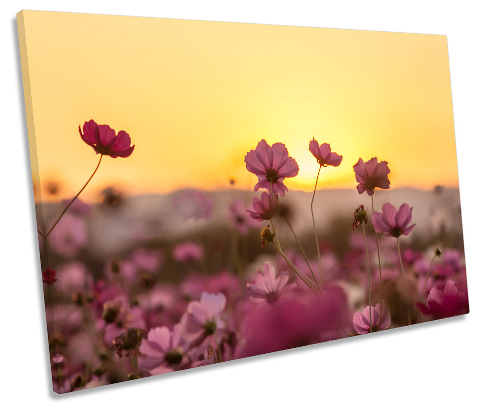 Floral Landscape Sunset