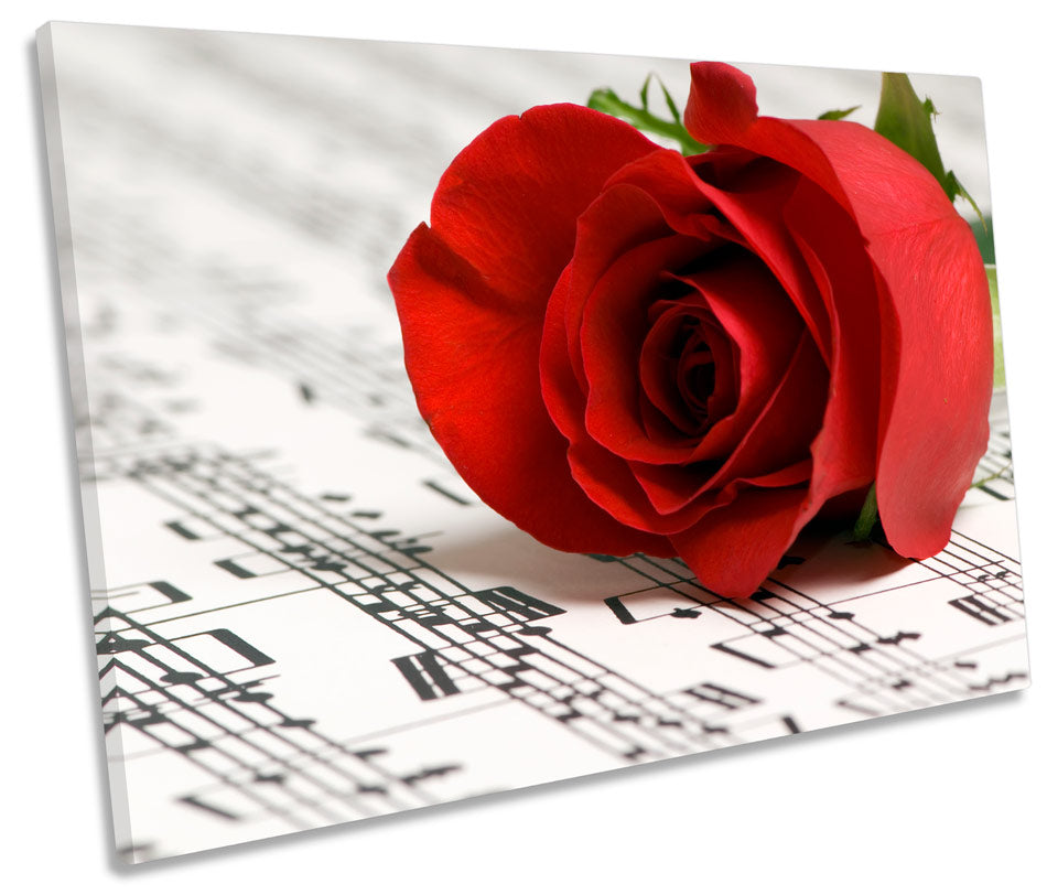 Rose Music Sheet Flower Floral