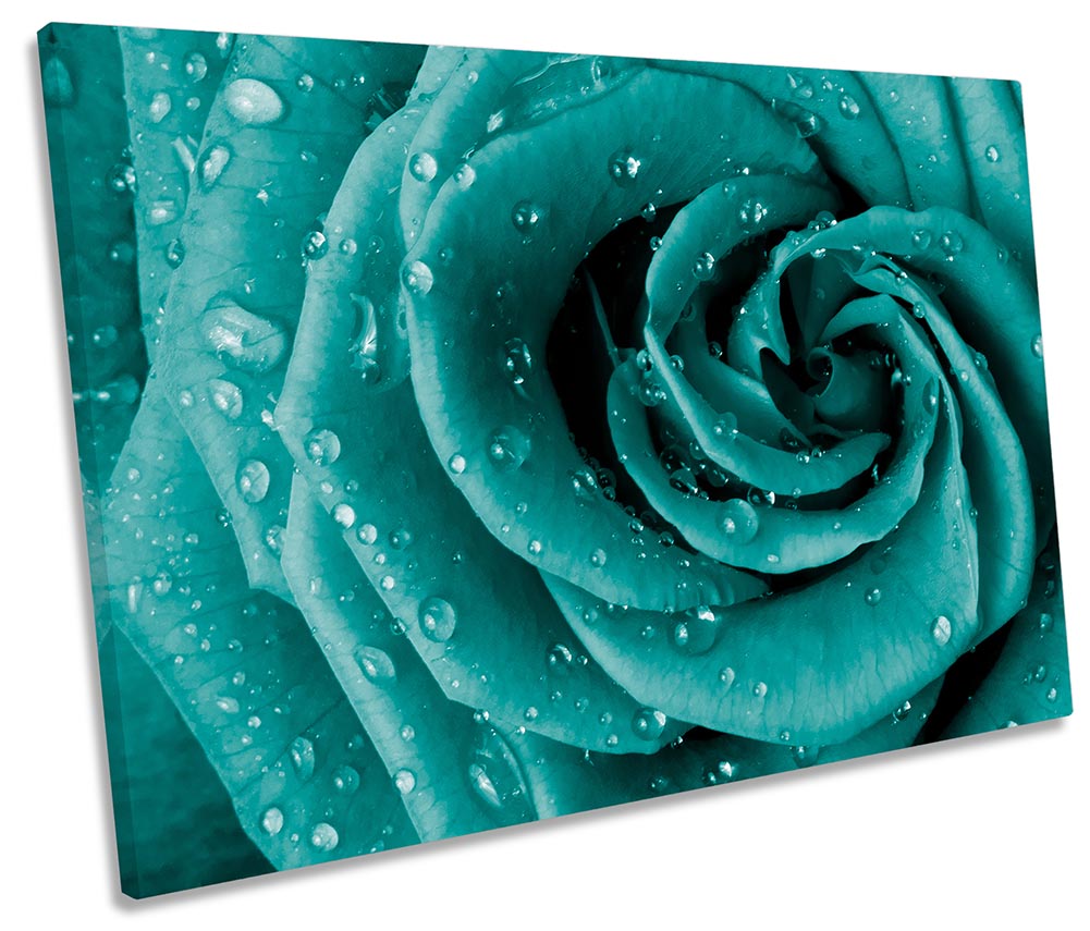 Turquoise Floral Rose Flower