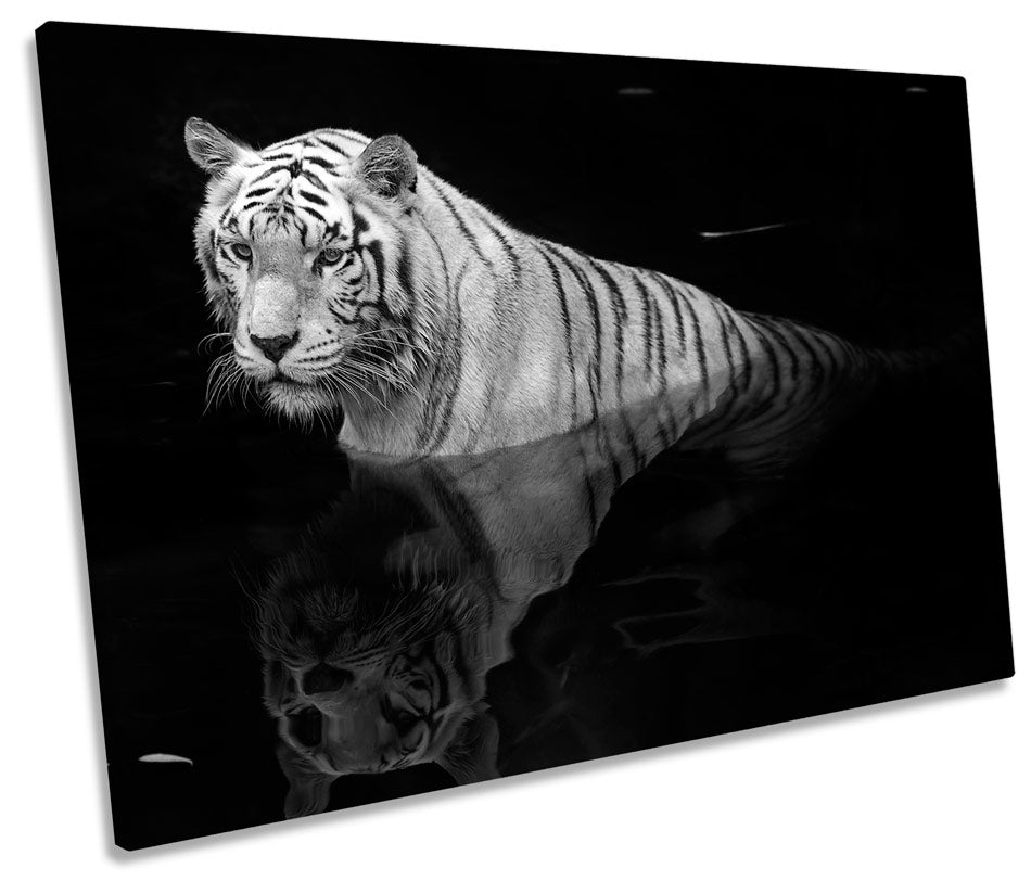 White Tiger Wildlife