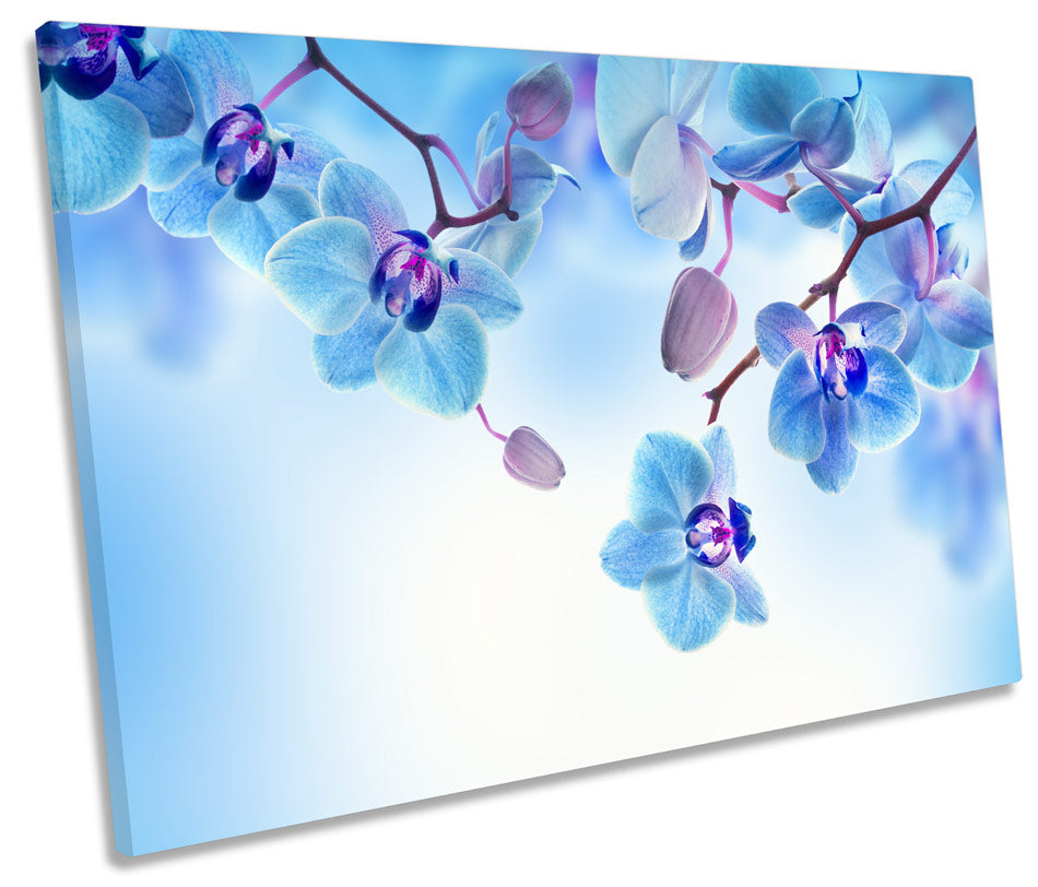 Blue Floral Flowers