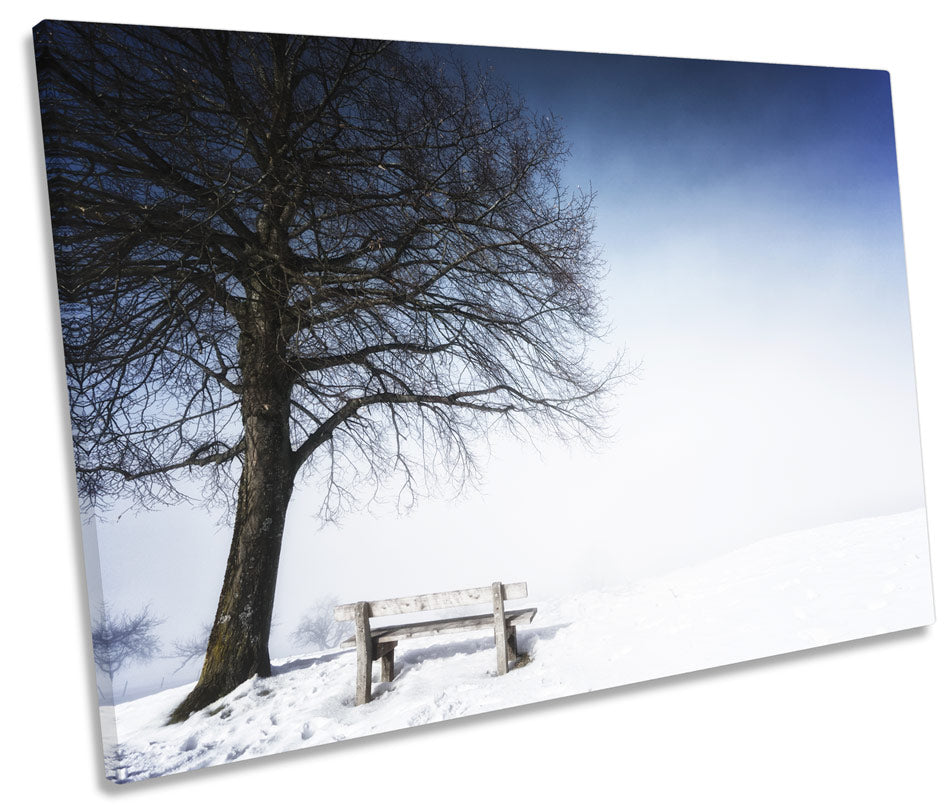 Winter Landscape Scene