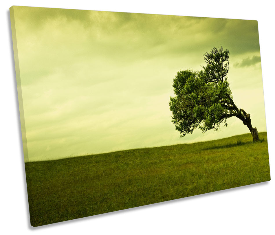 Windy Green Landscape Tree