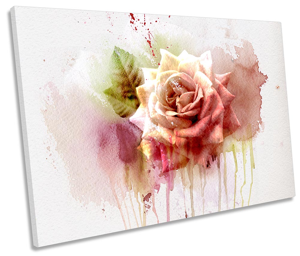 Abstract Floral Pink Rose Flower