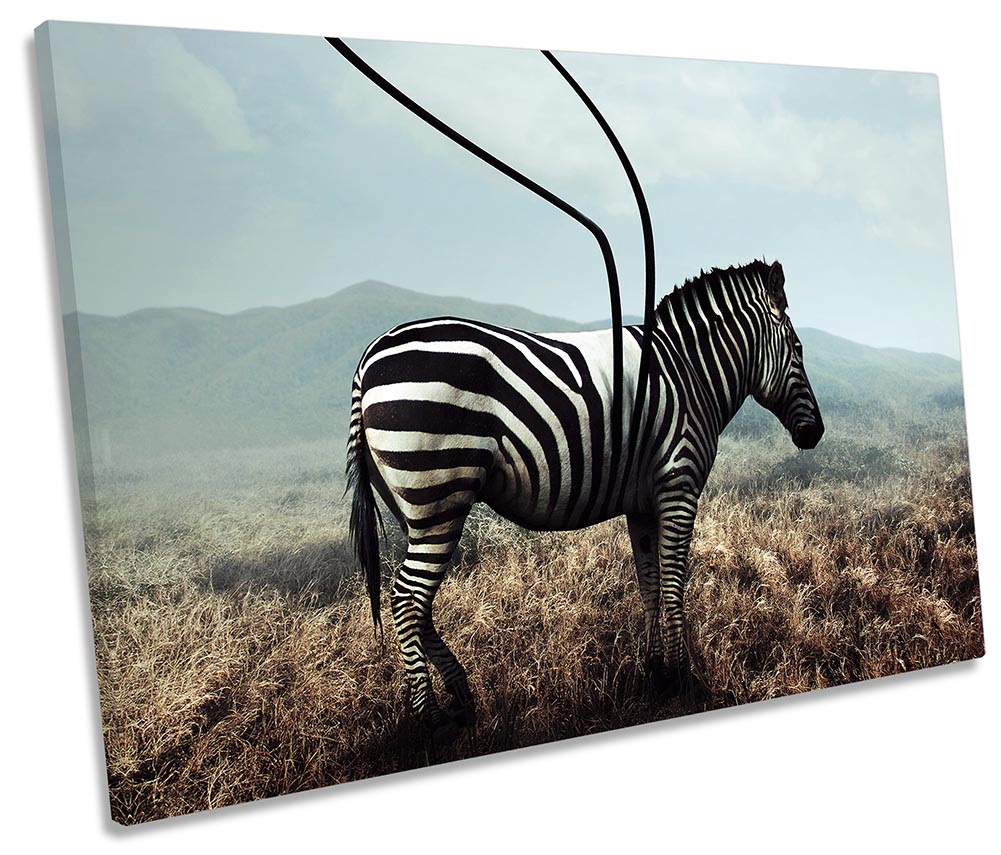 Surreal Zebra Stripes Multi-Coloured