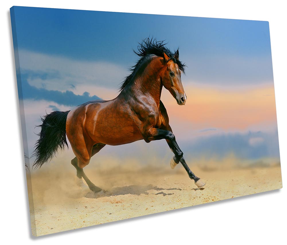 Horse Gallop Stallion