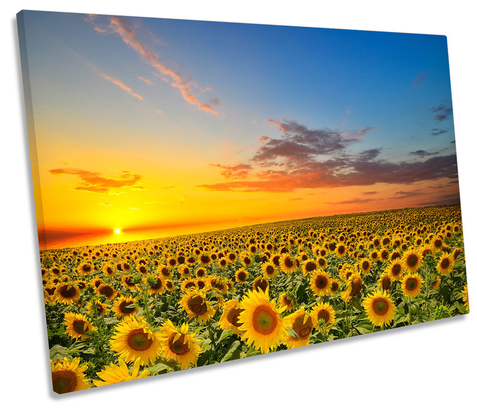 Sunset Sunflowers Floral