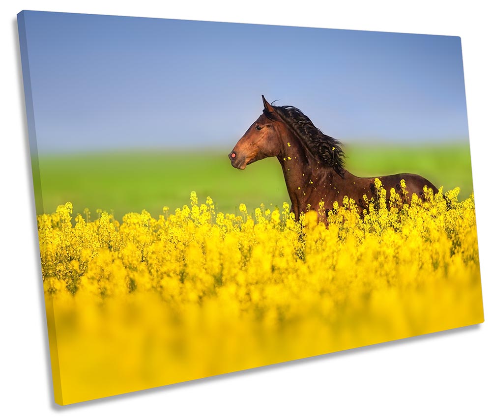 Horse Field Floral Yellow