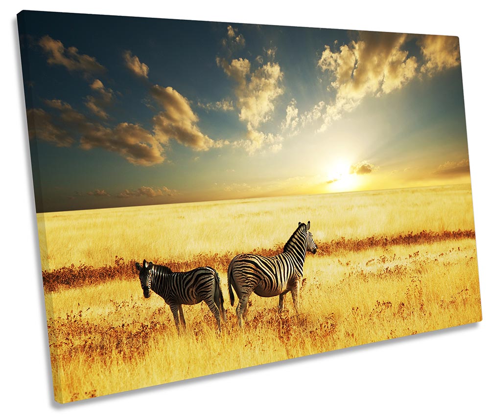 Safari Sunset Zebra