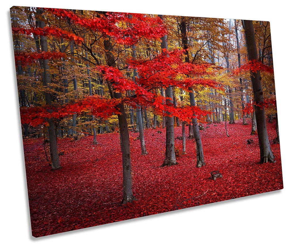 Red Landscape Forest