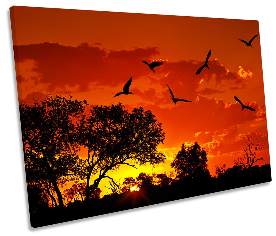 Africa Sunset Orange Birds