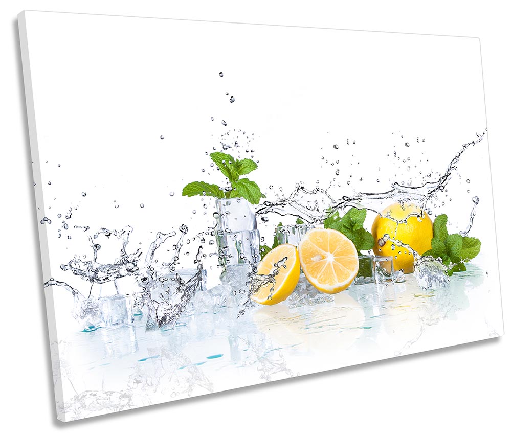 Fruit Slices Kitchen Splash White