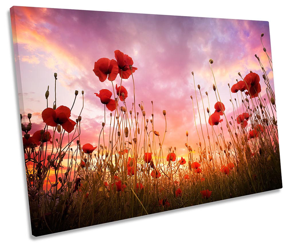 Red Poppies Sunset Floral