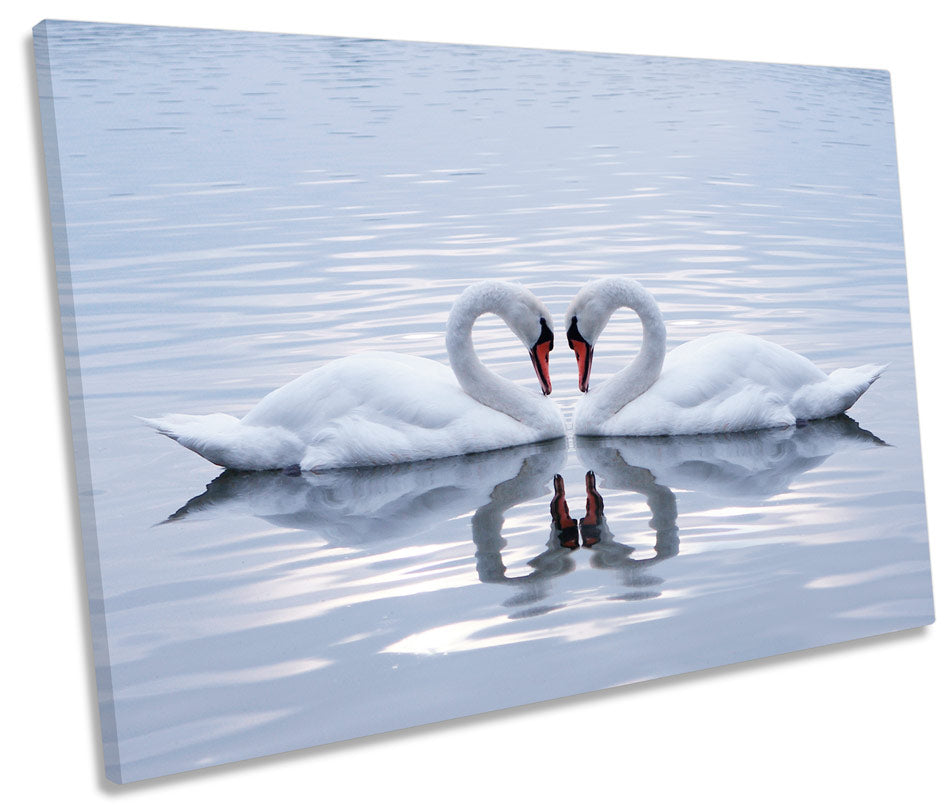 Swans Love Pair Heart