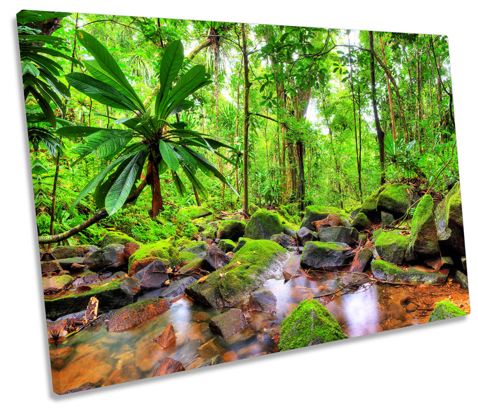 Jungle Tropical Landscape