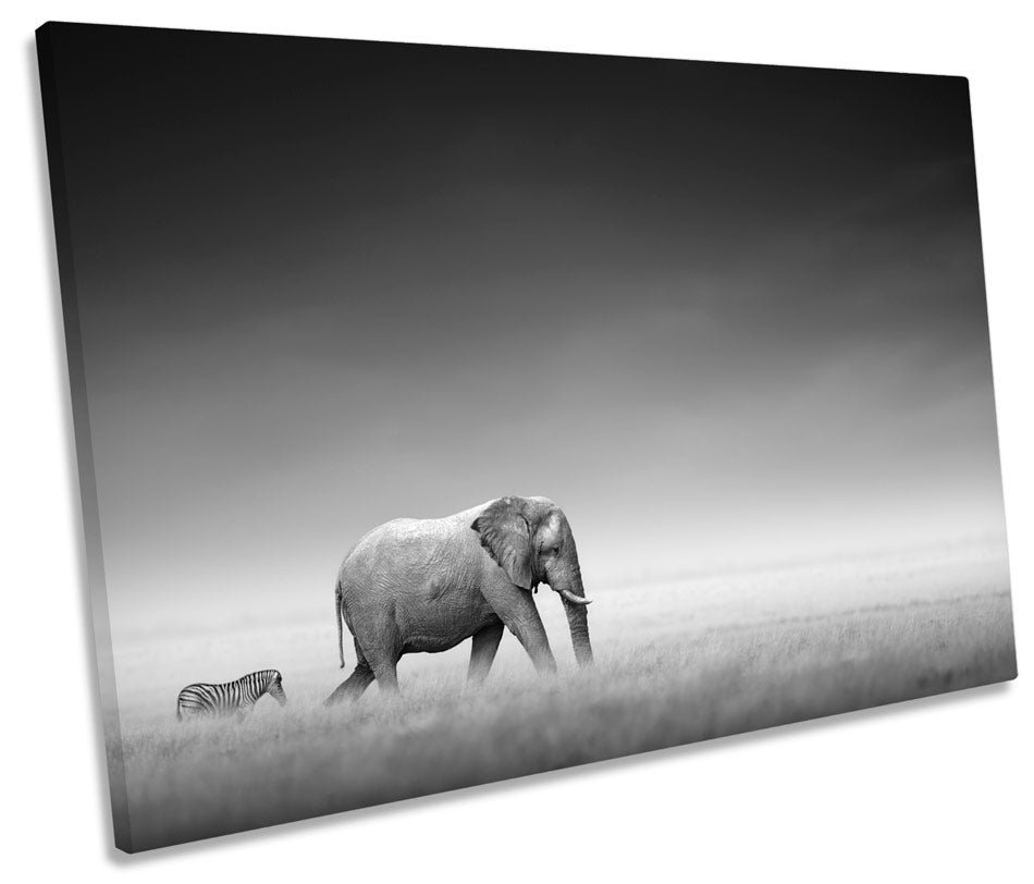 Elephant Zebra Safari