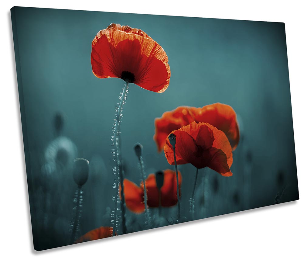 Red Poppy Floral Flowers Turquoise