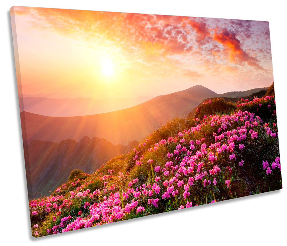 Sunset Landscape Mountain Floral