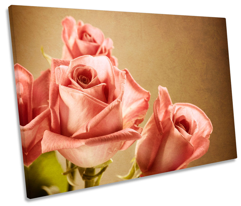 Rose Floral Flower Vintage Love