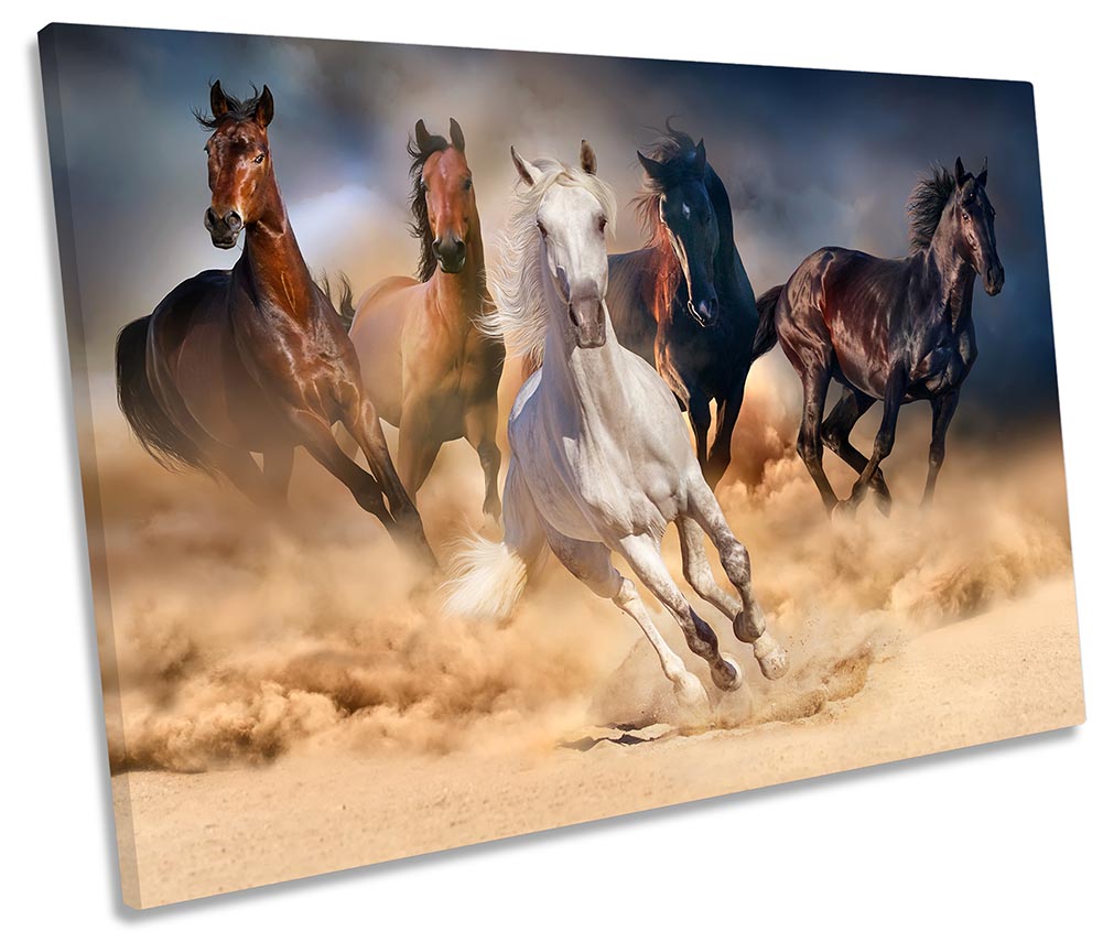 Horses Galloping