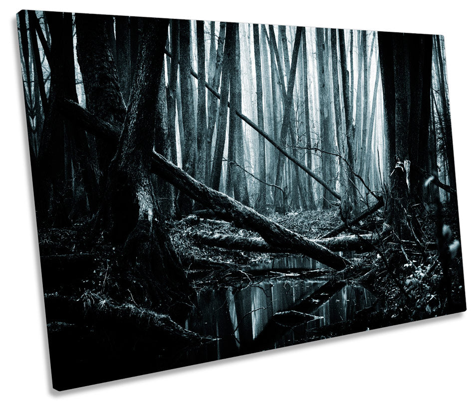 Dark Forest Landscape Trees