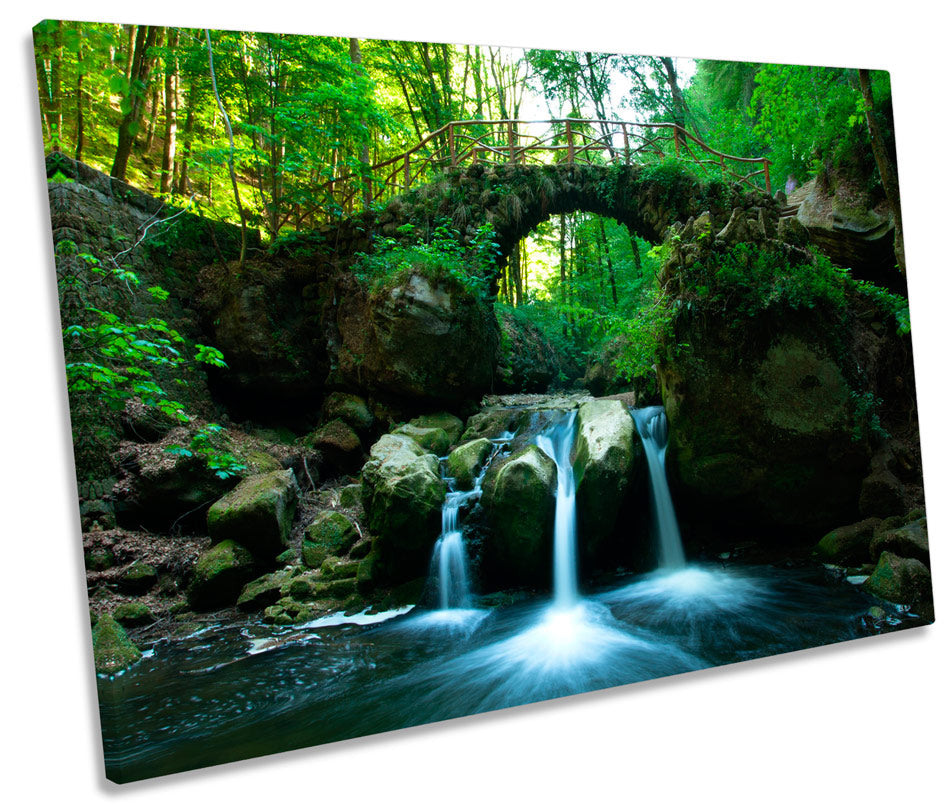 Forest River Bridge Landscape