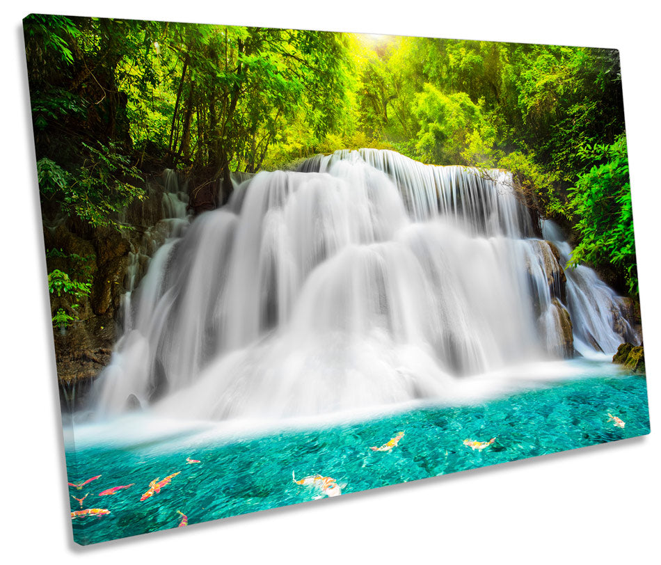 Tropical Rain Forest Waterfall Scene