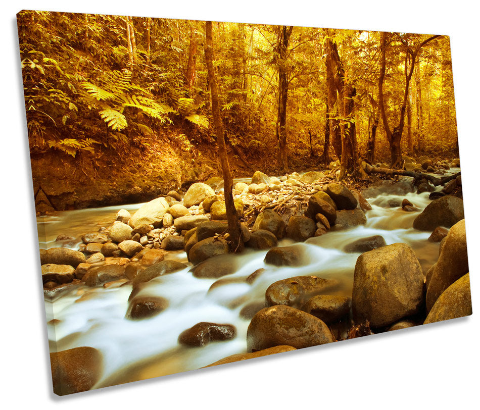 River Landscape Scene Forest