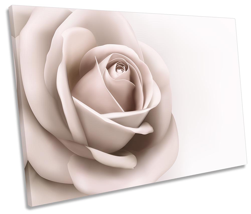 Cream Rose Flower Floral