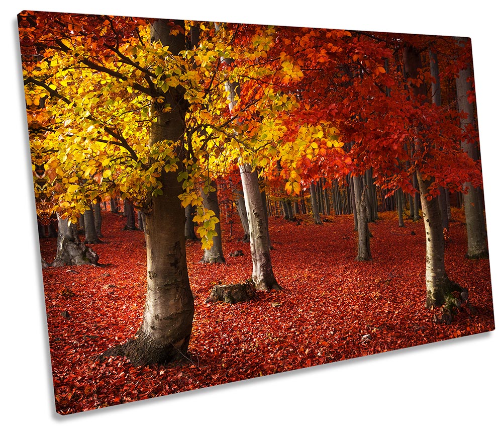 Autumn Forest Red Landscape