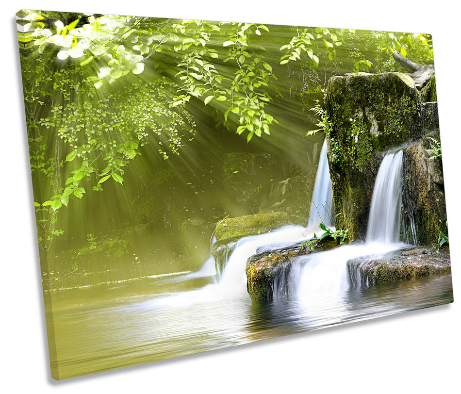 Forest Spring Landscape Stream