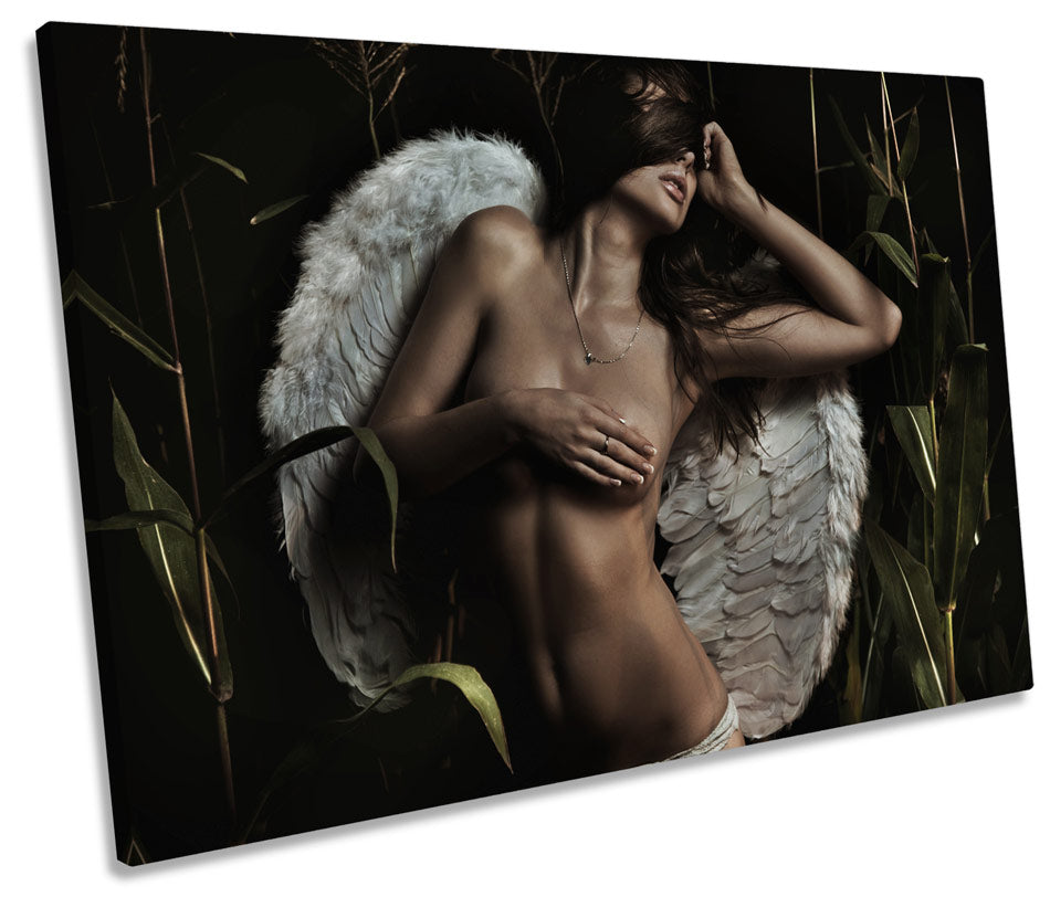 Sexy Angel Wings Fantasy