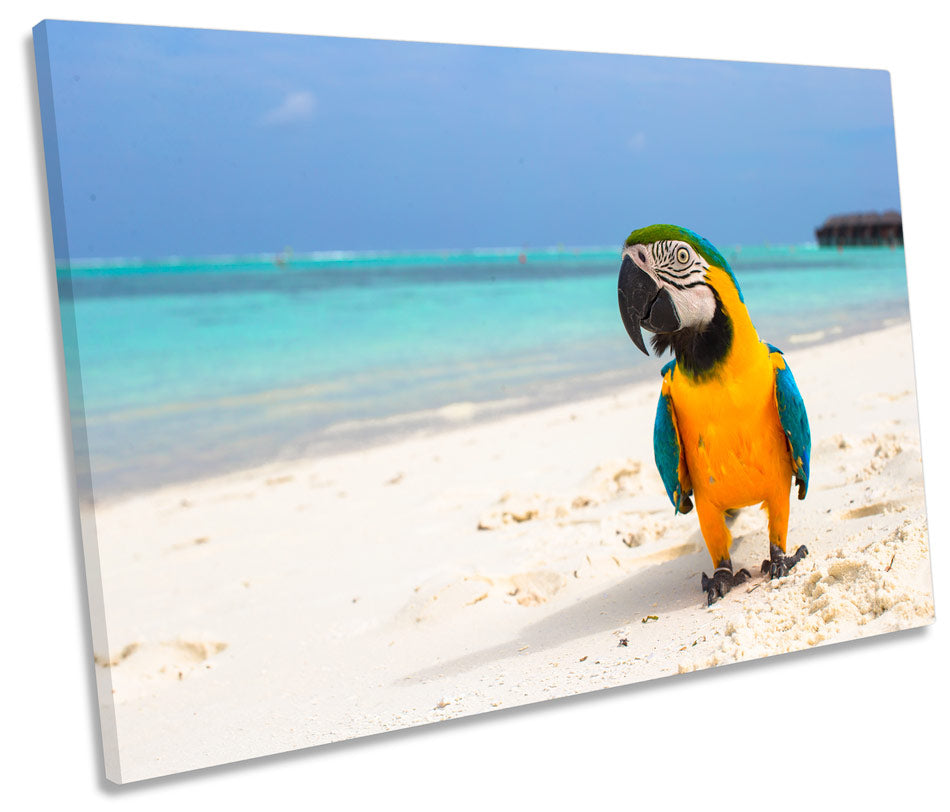 Tropical Beach Parrot