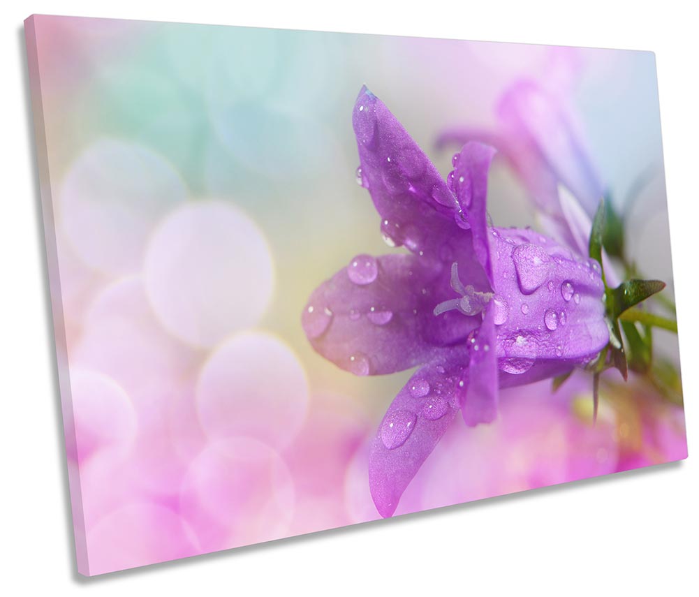 Purple Floral Flower Blossom