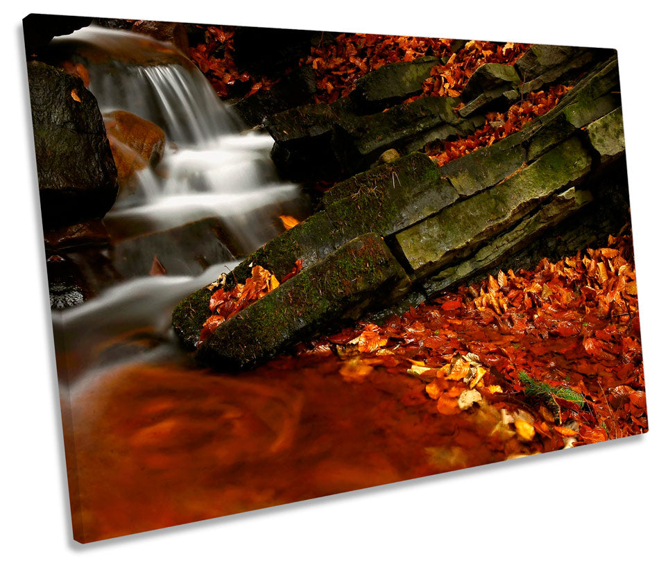 Autumn Stream Forest Landscapes