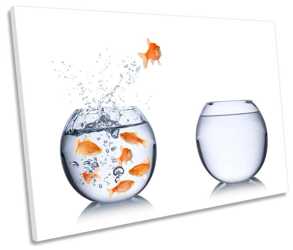 Goldfish Jumping Bowls