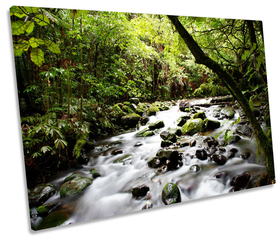 Tropical Forest River Landscape