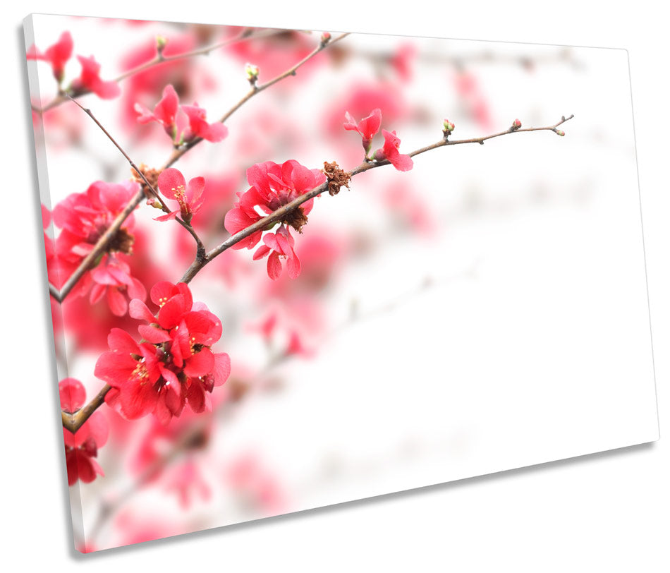 Red Tree Blossom Floral