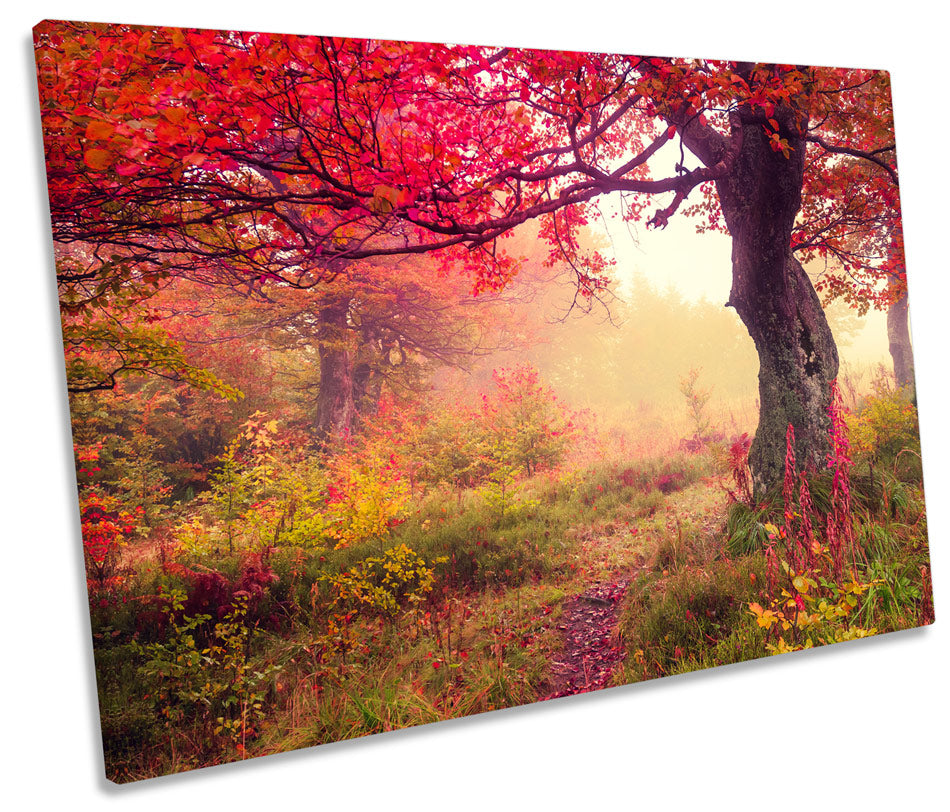 Autumn Red Tree Landscape