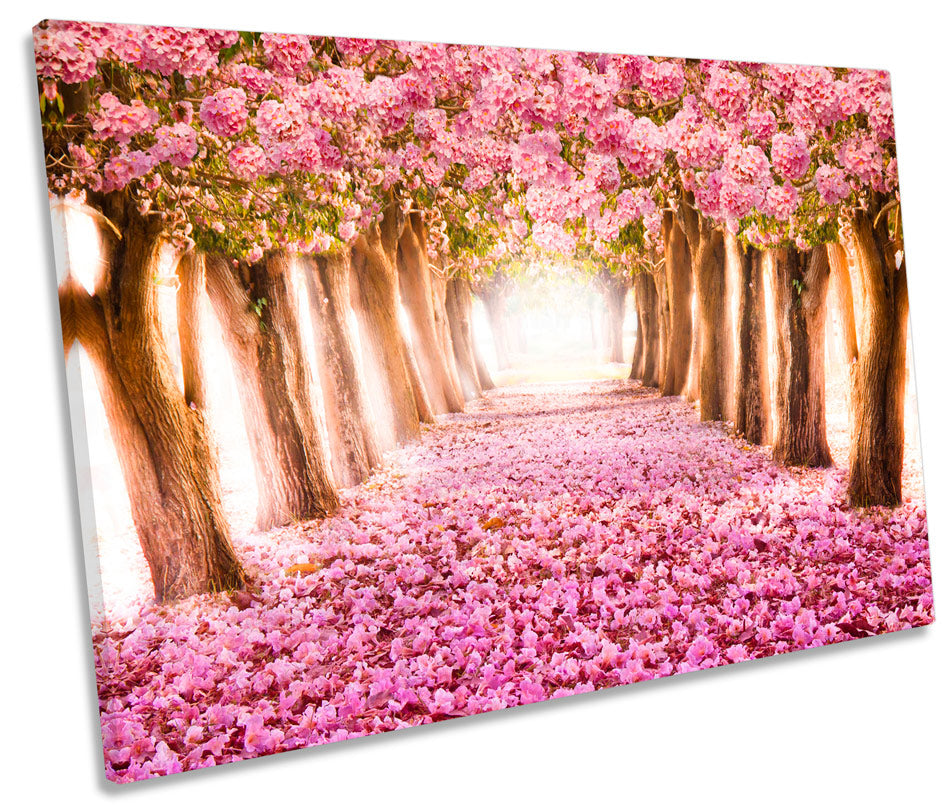 Romantic Blossom Floral Tunnel