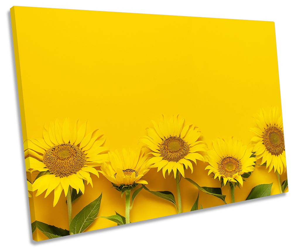 Sunflowers Minimalistic Yellow