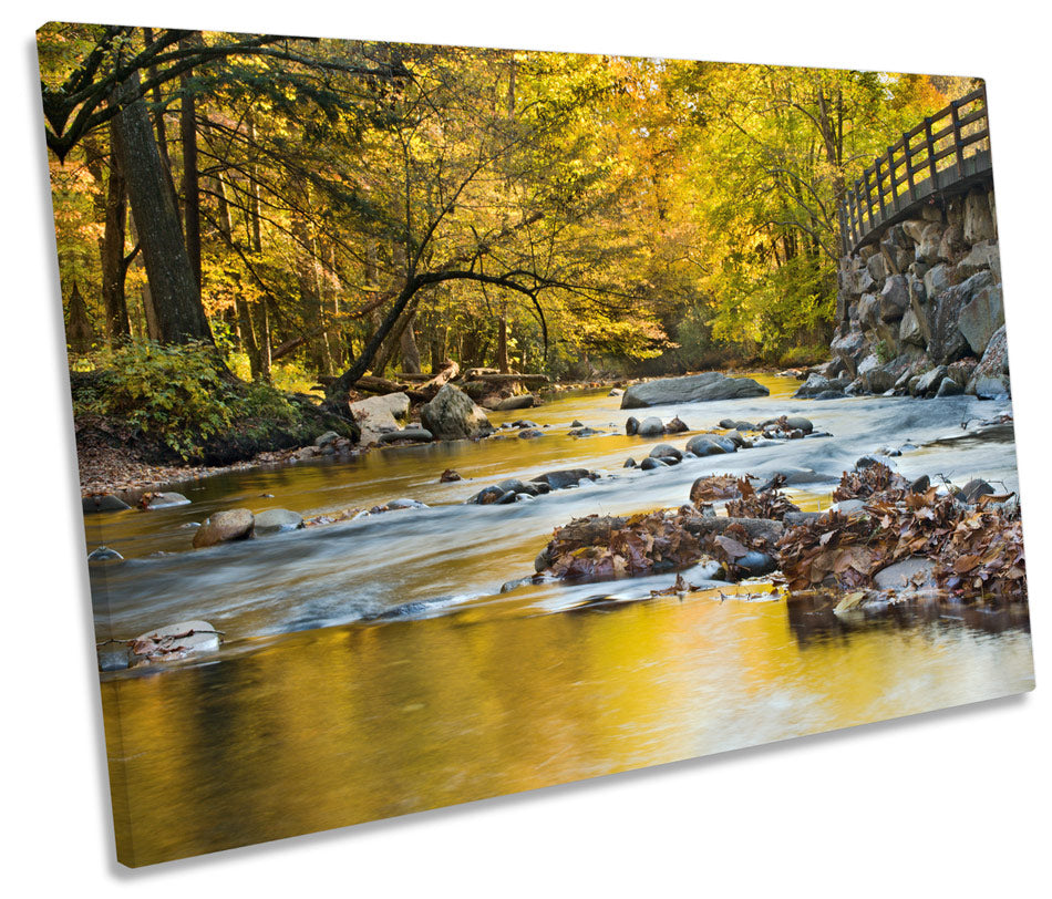 Forest River Landscape Sunset Bridge