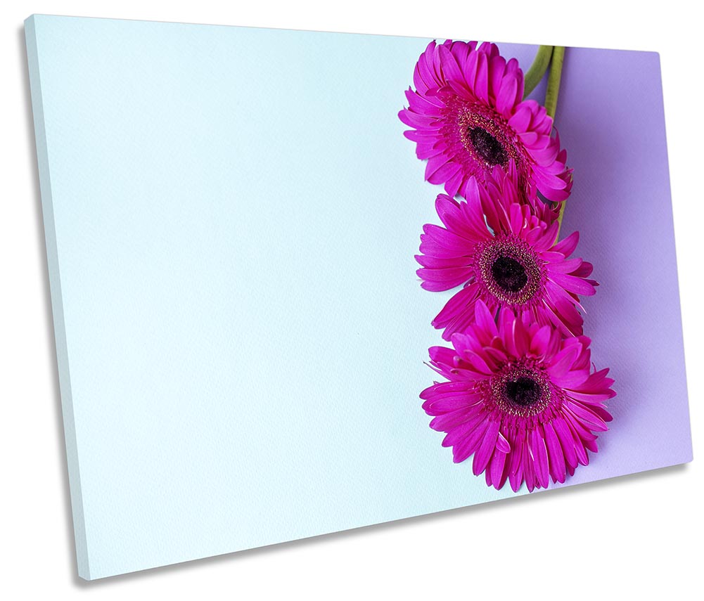 Gerbera Floral Flowers Pink